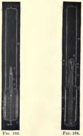 1894 photograph, figs. 163 and 164, printed p. 288: Fig. 163 (left) and Fig. 164 (right), each a tall sealed tube with a stem and coatings at its lower end
